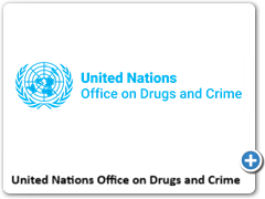 UNODC logo